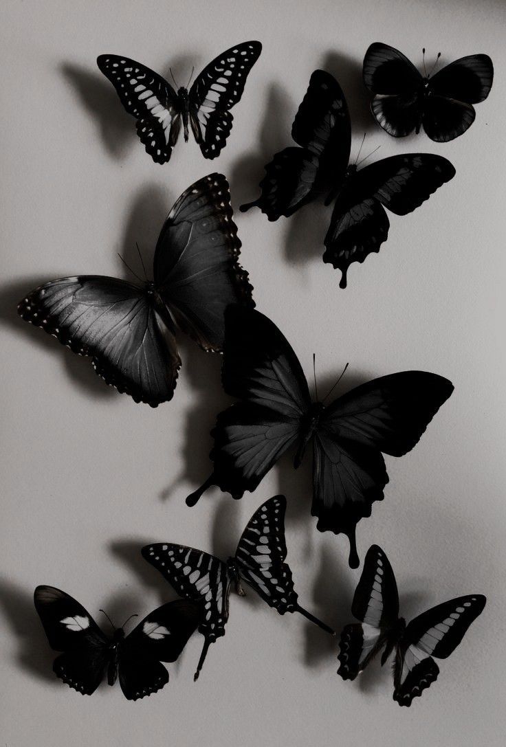 aesthetic black and white wallpaper 0090