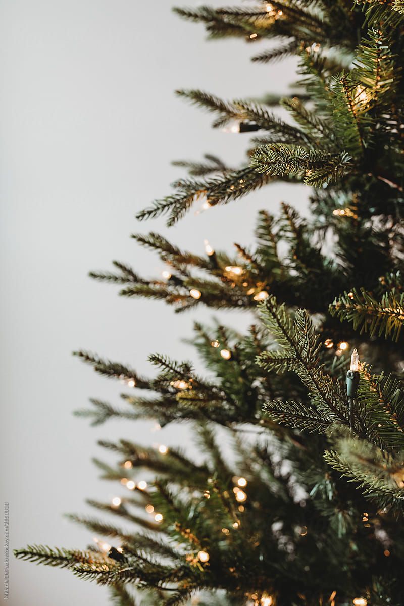 aesthetic christmas pictures 0072