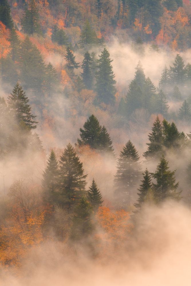 aesthetic fall pictures 0043
