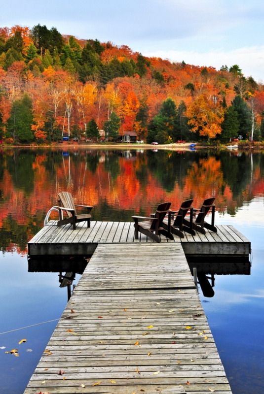 aesthetic fall pictures 0074
