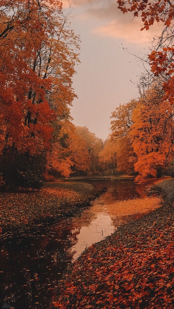aesthetic halloween pictures 0089