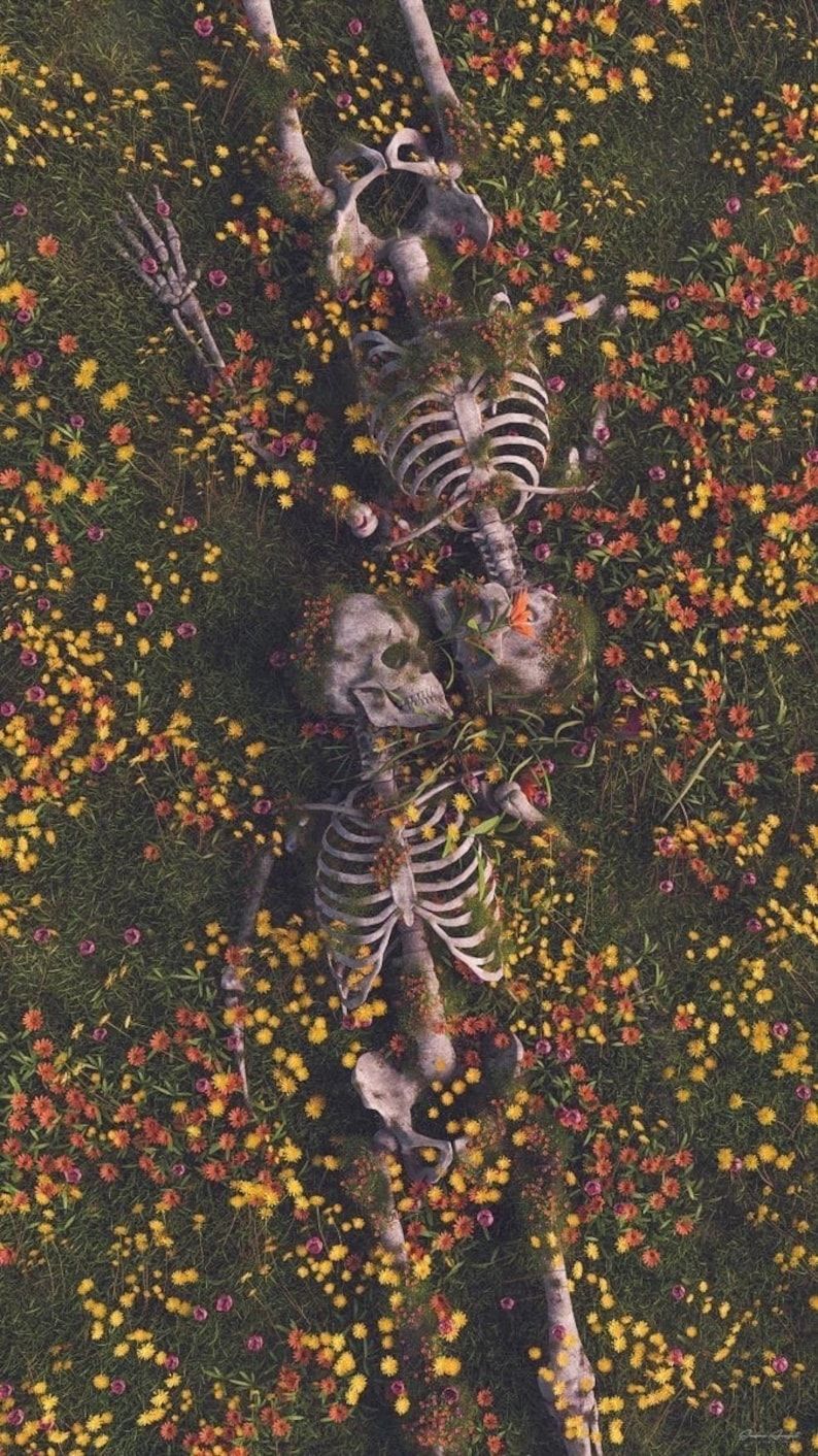 aesthetic halloween wallpaper skeleton 0058