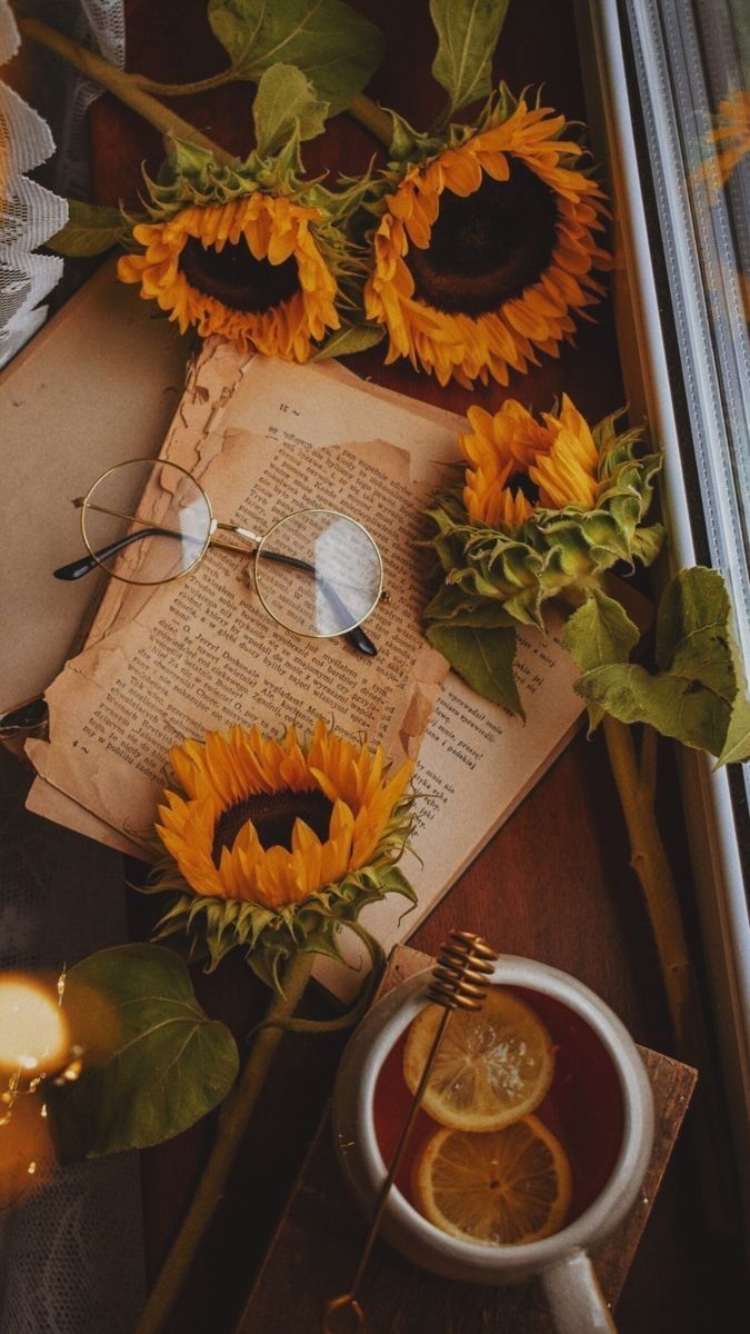 aesthetic images for social media