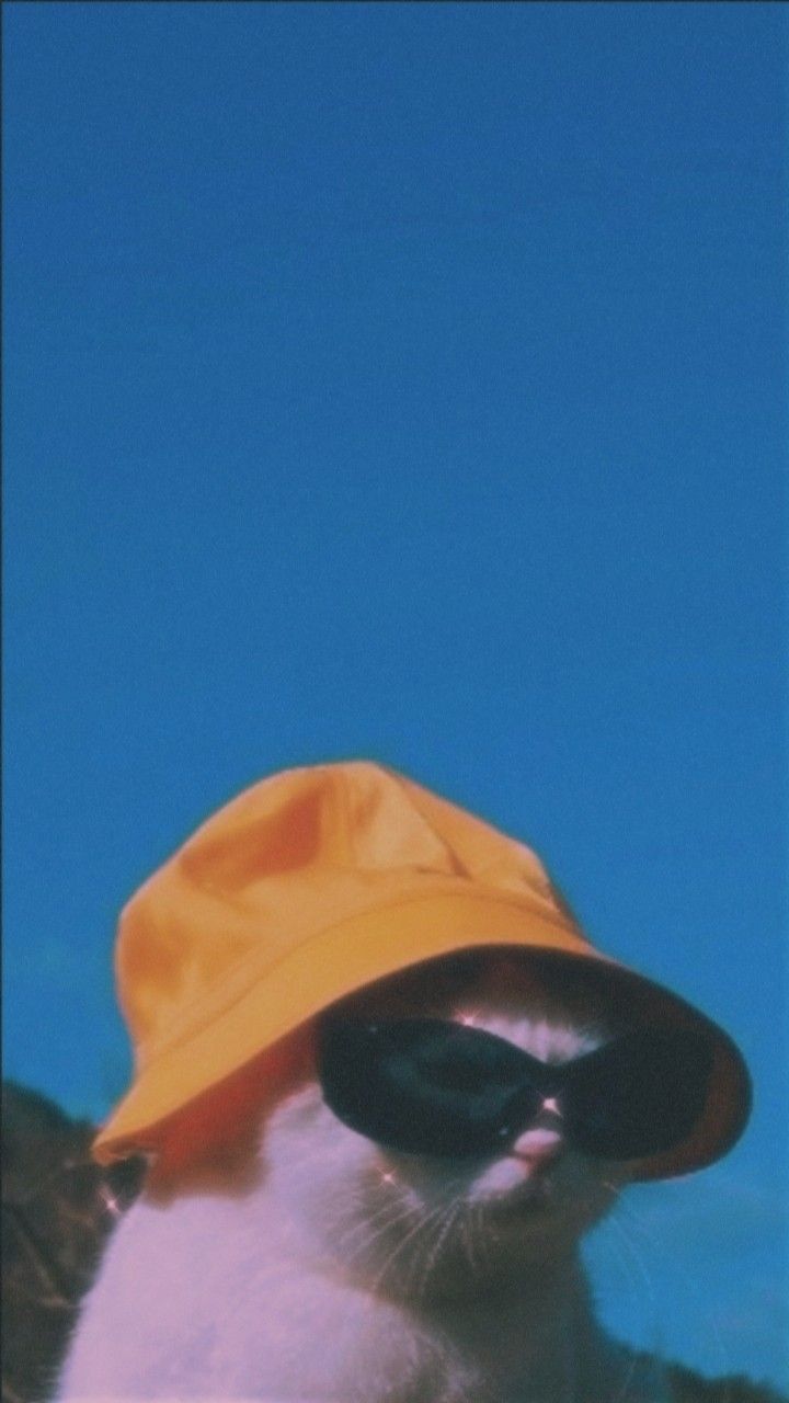 aesthetic images 0022