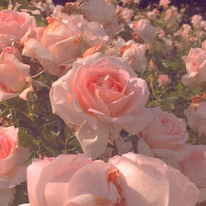 aesthetic images 0051