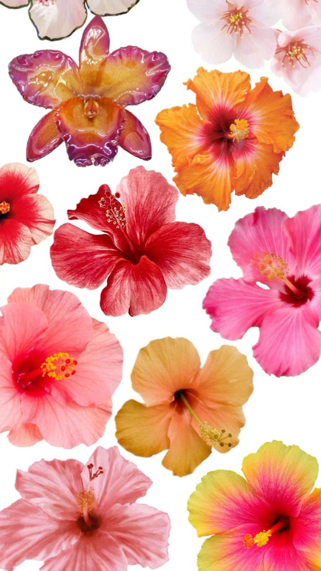 aesthetic images 0092