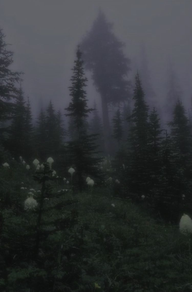 aesthetic images 0097