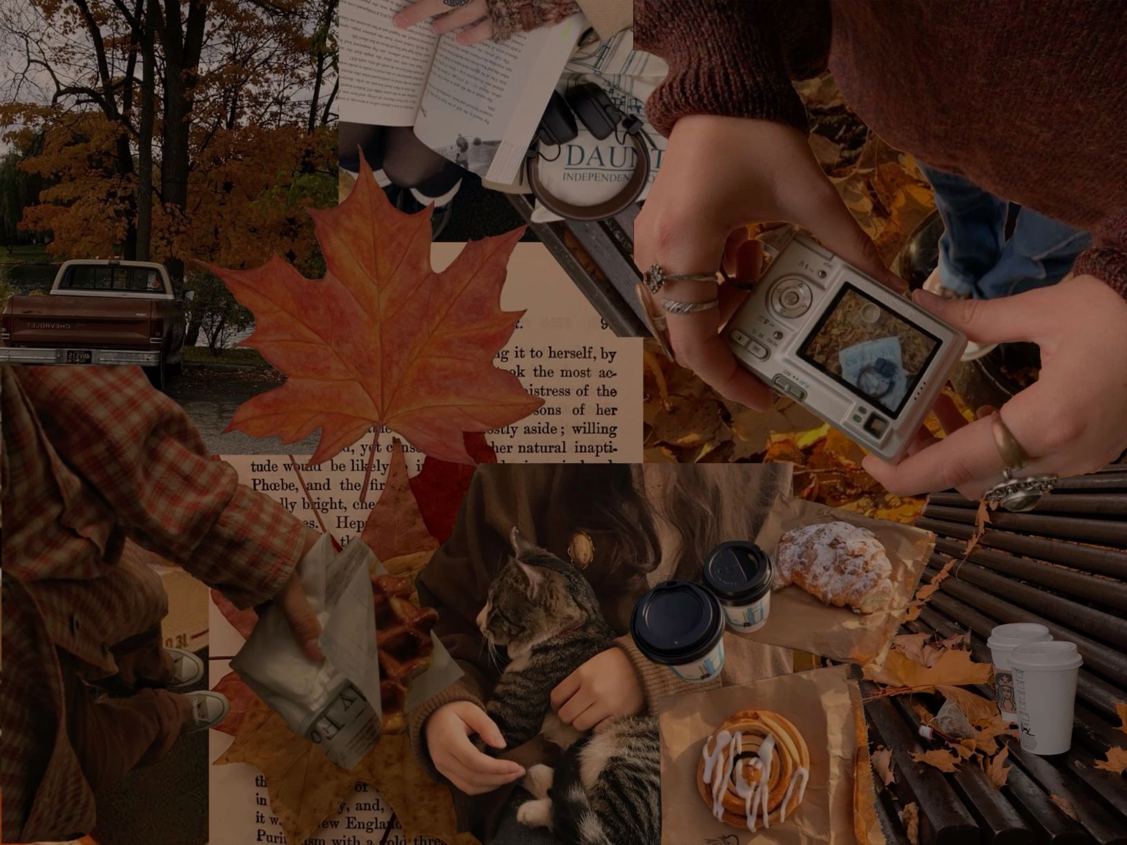 aesthetic iphone wallpapers for fall