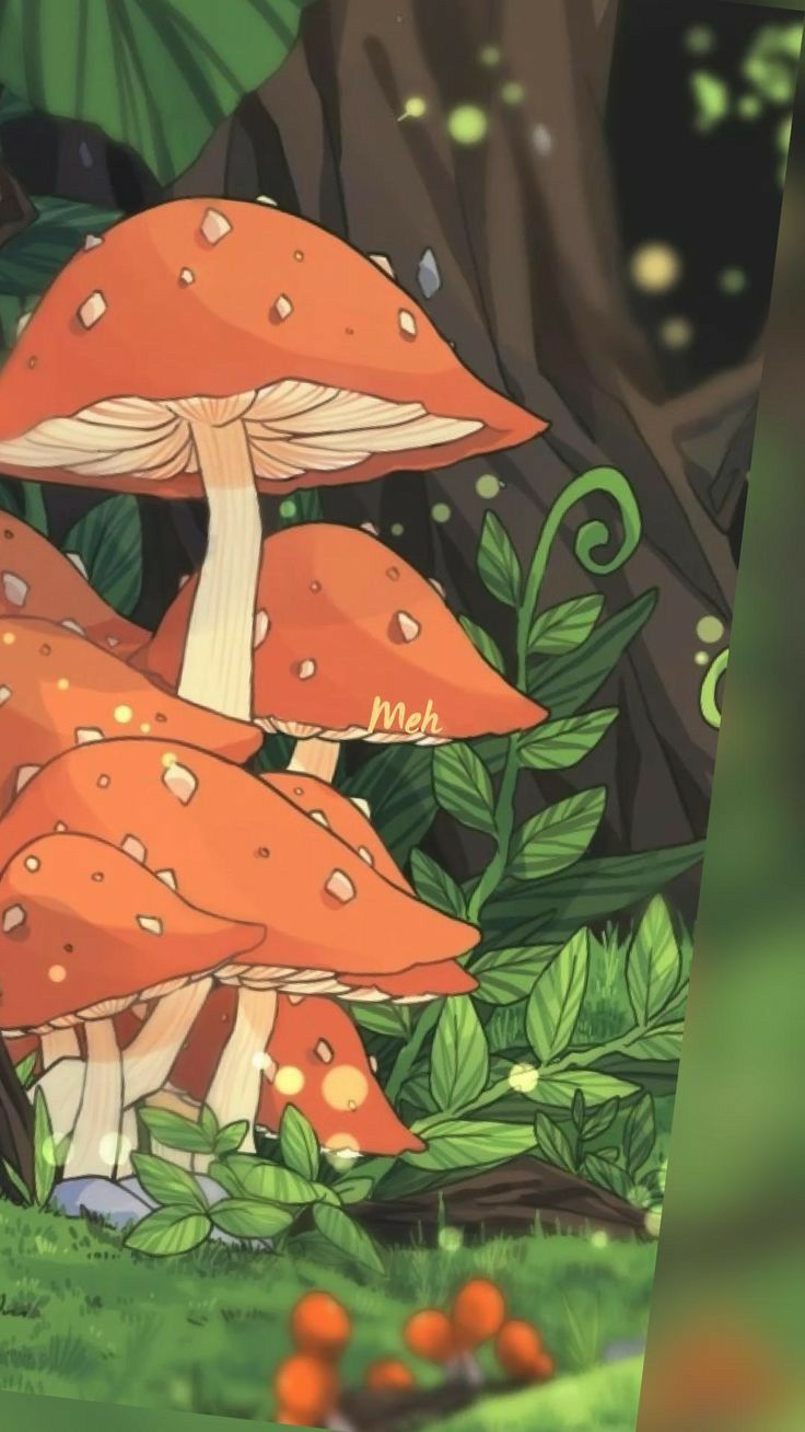 aesthetic mushroom wallpaper 0035