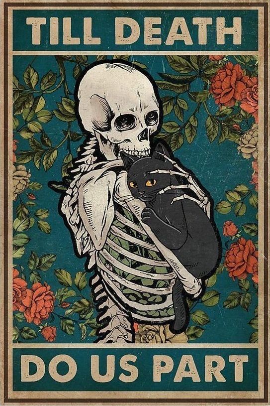 aesthetic skeleton wallpaper 0024