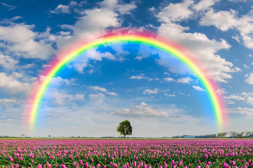 aesthetic spring pictures 0048