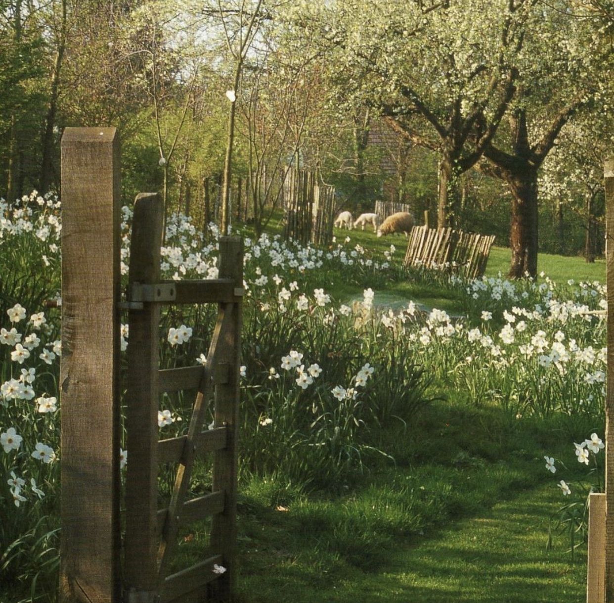 aesthetic spring pictures 0059
