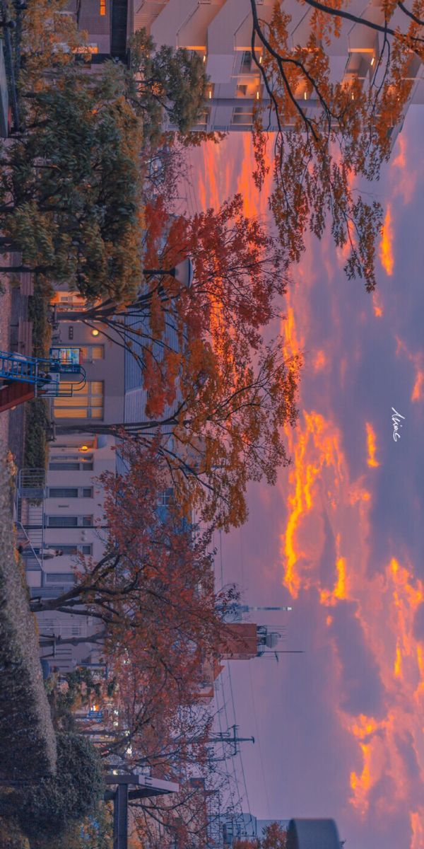 aesthetic spring wallpaper 0091