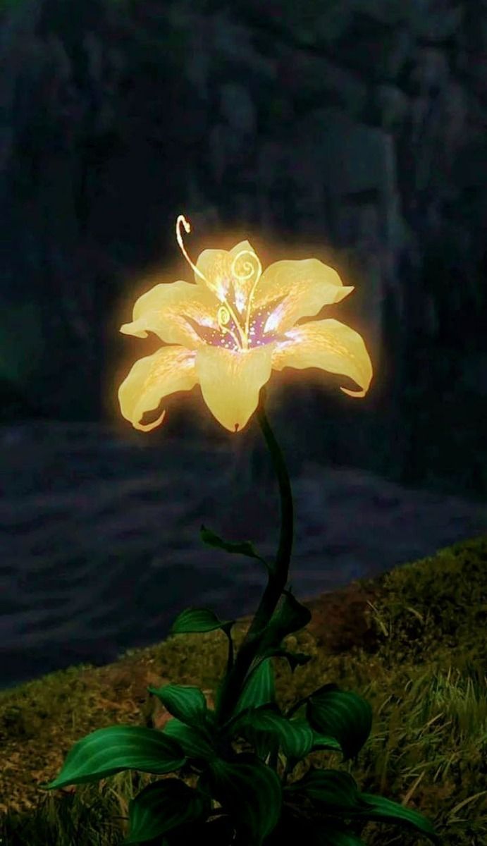 aesthetic tiktok profile pics 0031