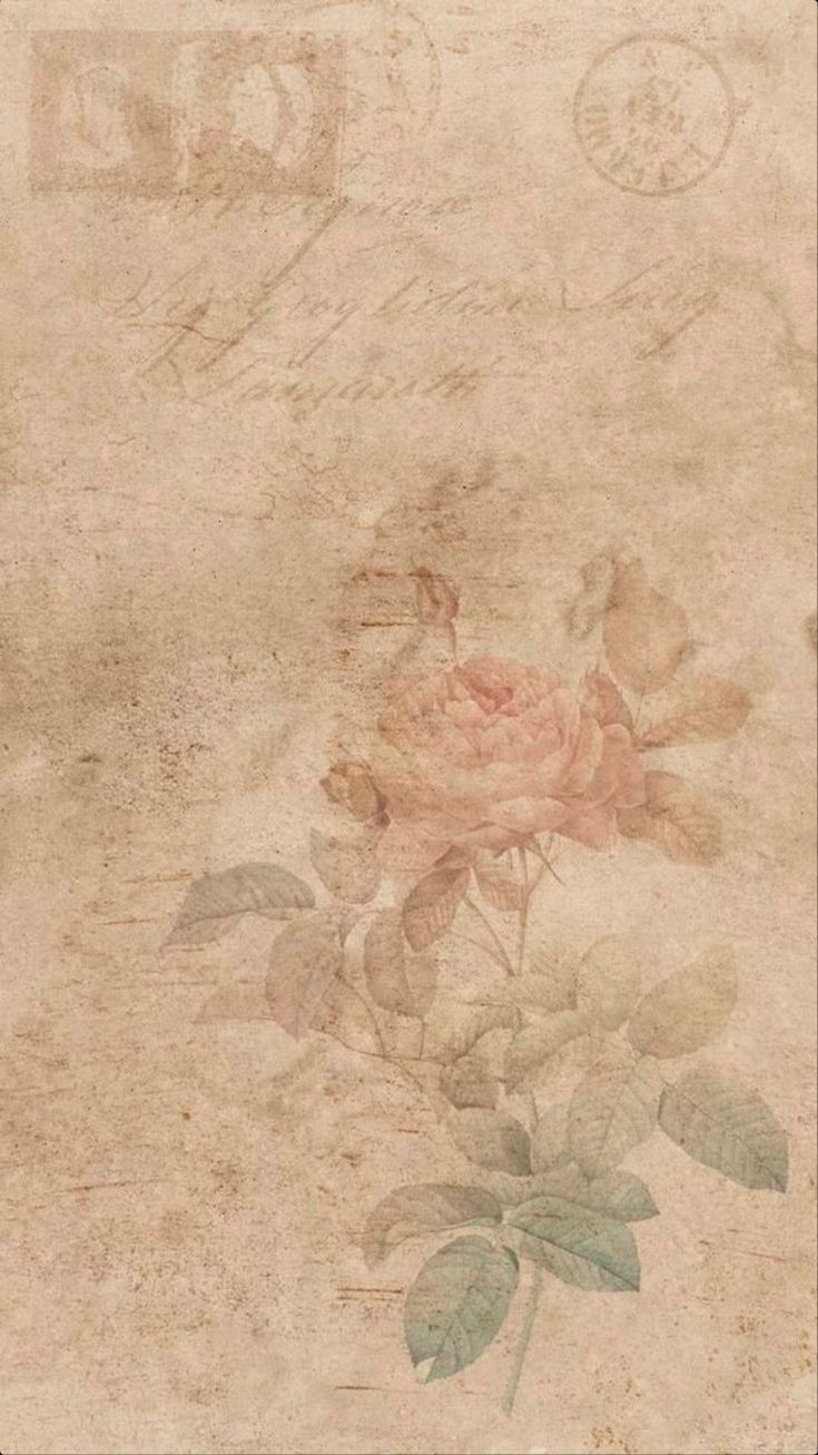 aesthetic vintage minimalist wallpaper ideas