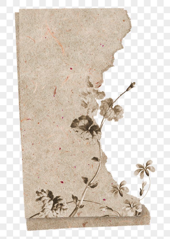 aesthetic vintage minimalist wallpaper 0049