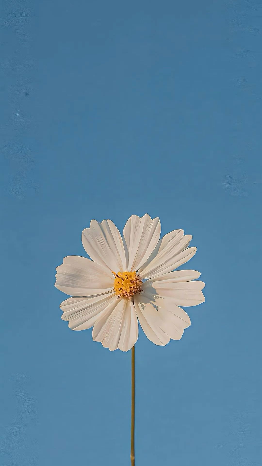 aesthetic vintage minimalist wallpaper 0067