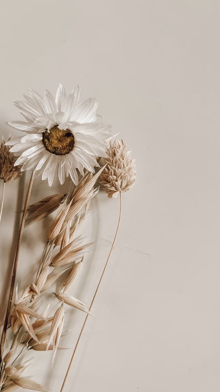 aesthetic vintage minimalist wallpaper 0085