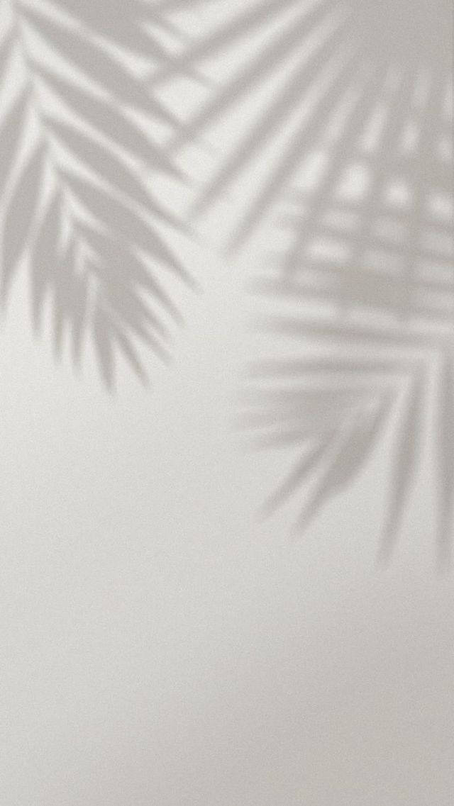 aesthetic vintage minimalist wallpaper 0087