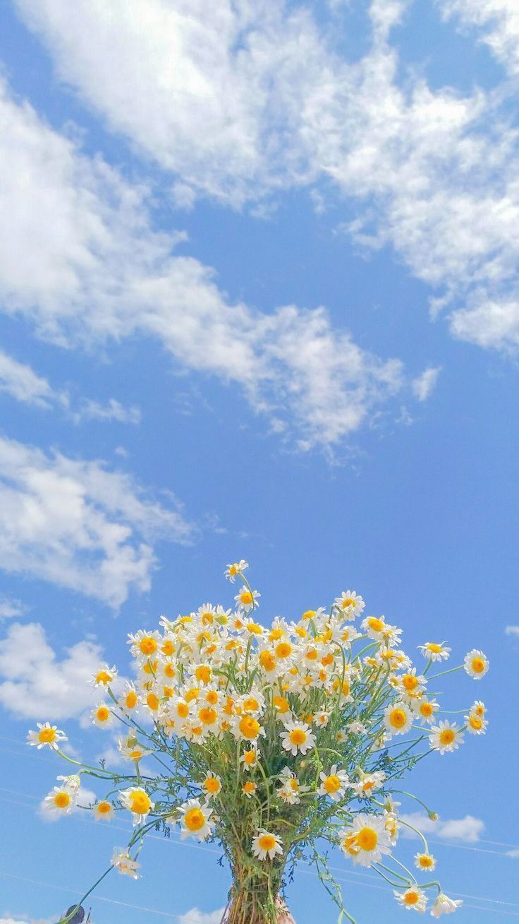 aesthetic wallpaper iphone 0064
