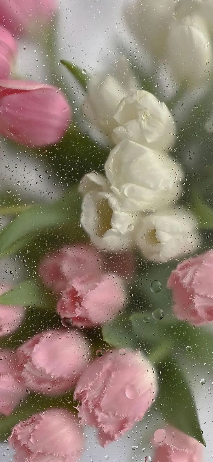aesthetic wallpaper iphone 0085
