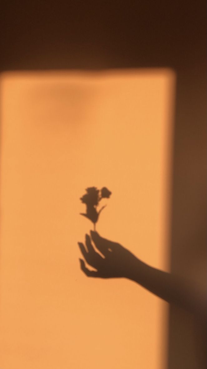 aesthetic wallpaper vintage style
