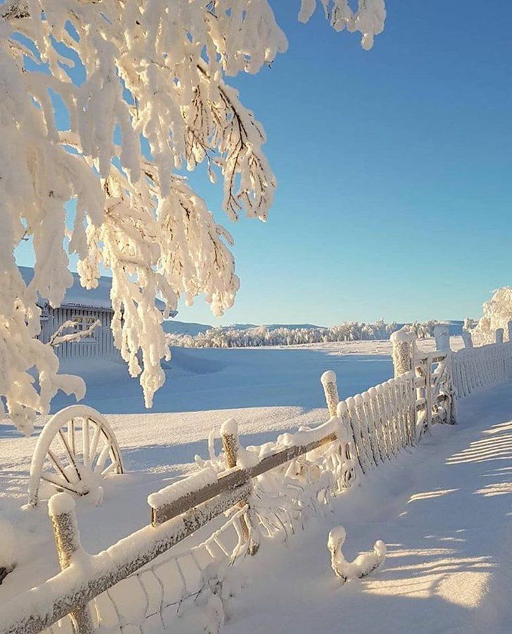 aesthetic winter pictures 0036