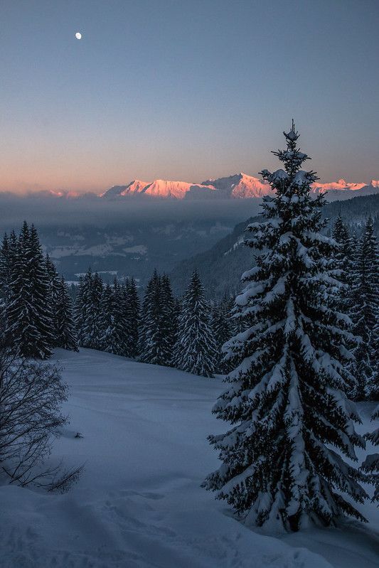 aesthetic winter pictures 0058