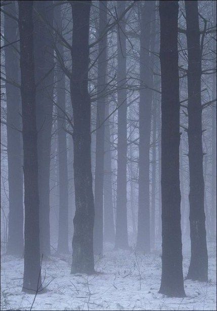 aesthetic winter pictures 0060