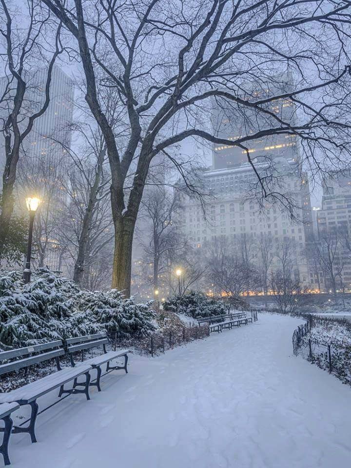 aesthetic winter pictures 0083