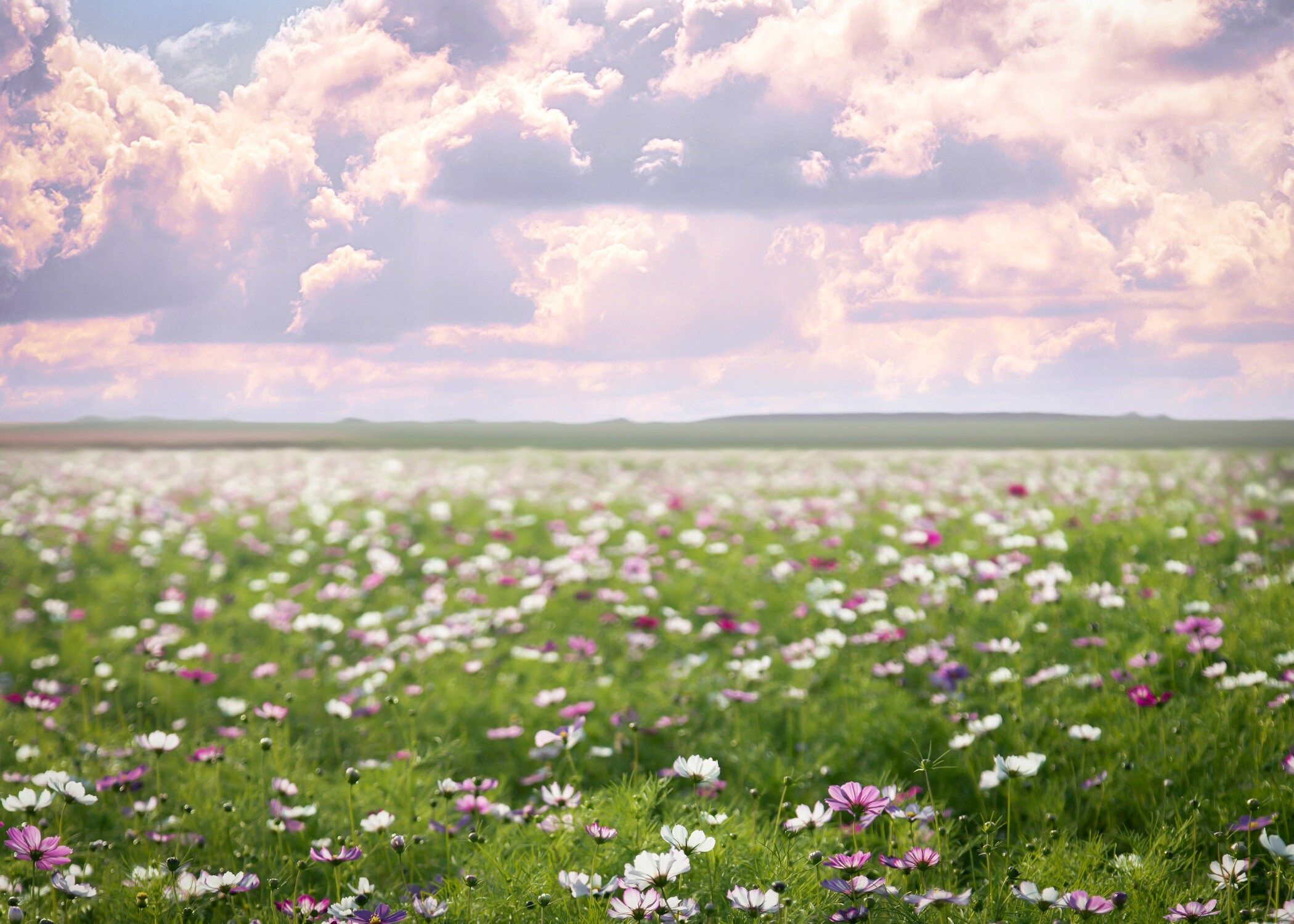 april aesthetic wallpaper 0058