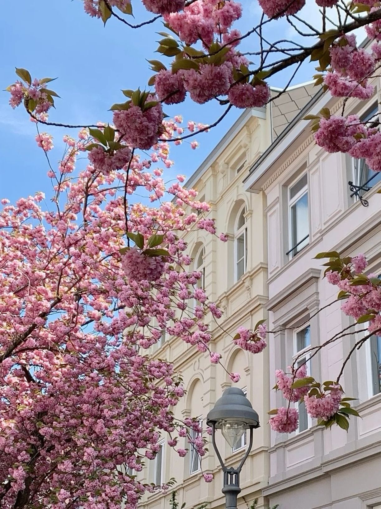 april aesthetic wallpaper 0097
