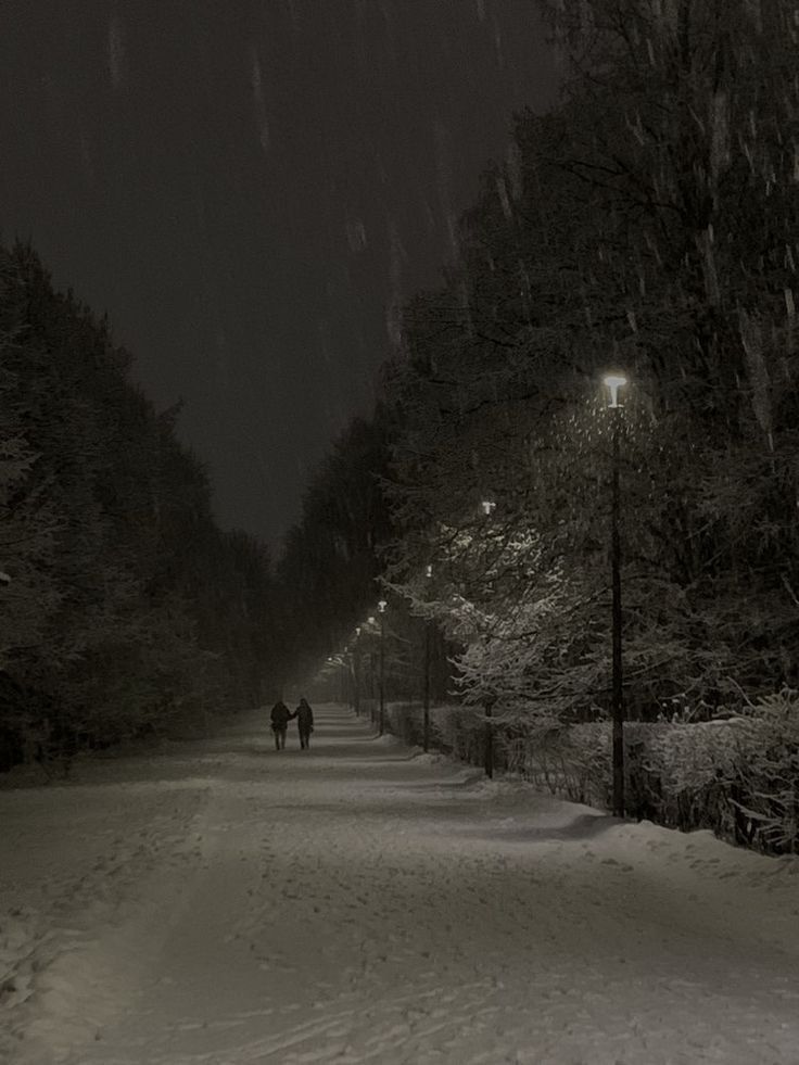 artistic aesthetic winter pictures