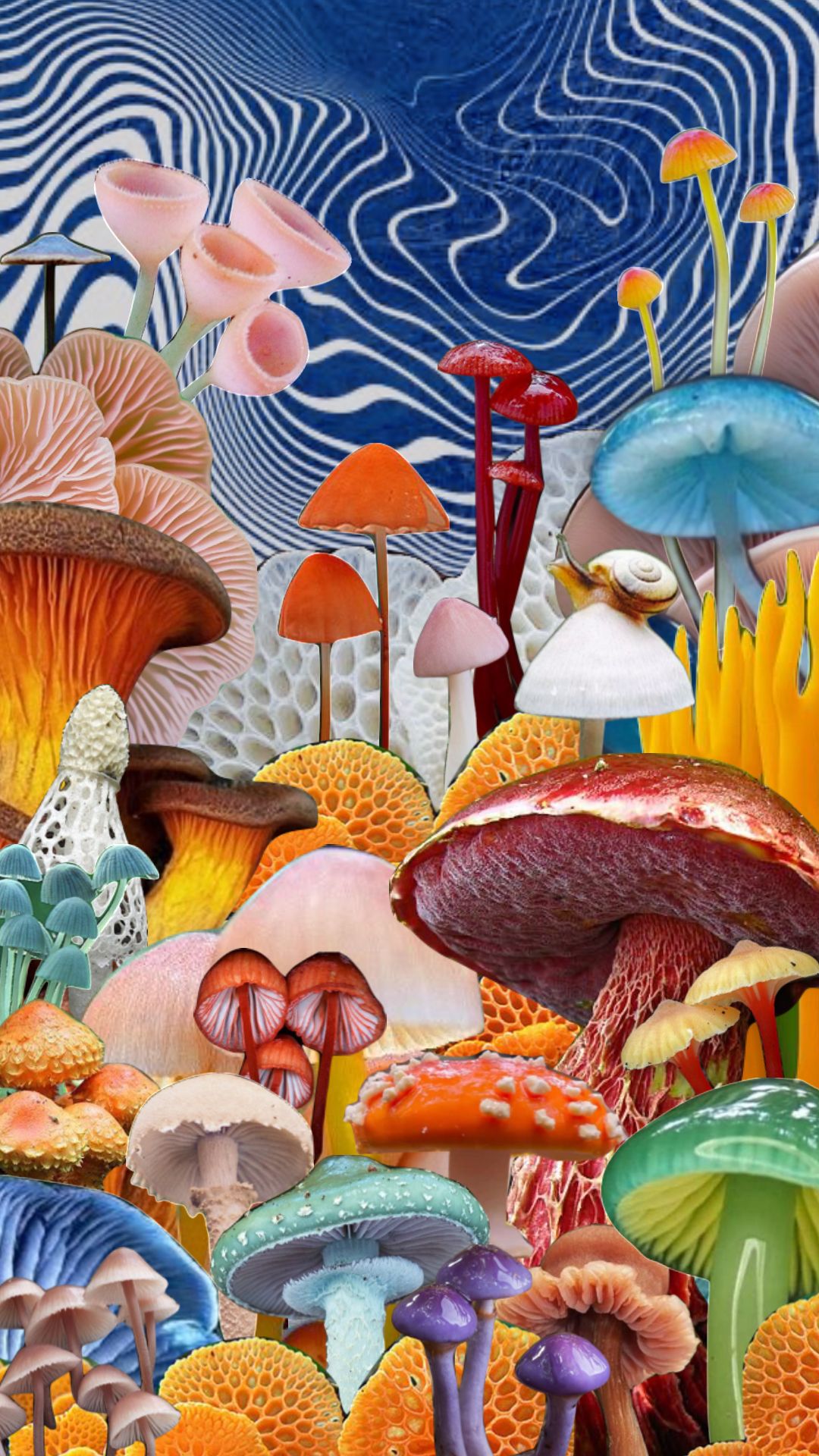 artistic mushroom wallpapers for aesthetics