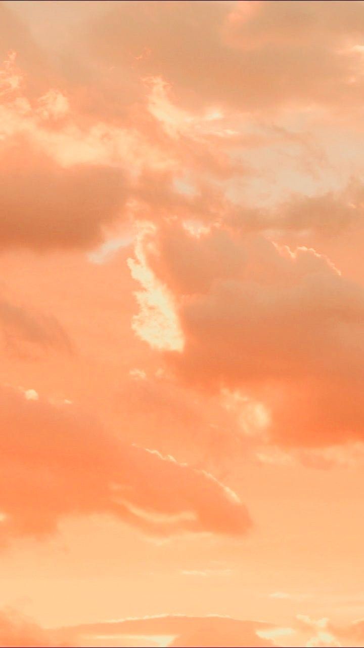 artistic orange aesthetic wallpaper styles