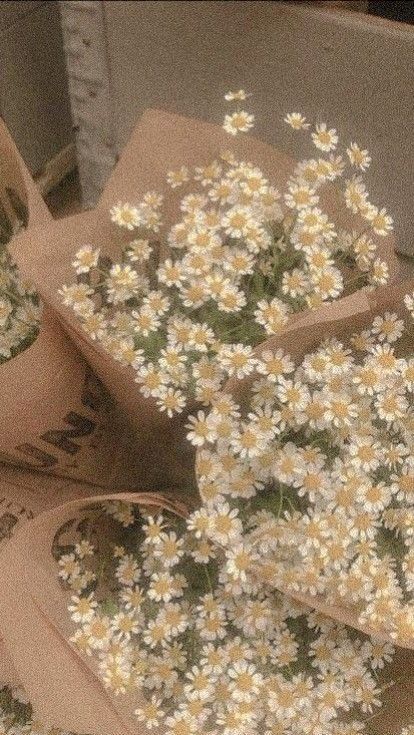 brown aesthetic wallpaper 0061
