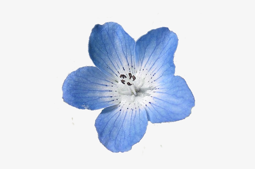 blue aesthetic 0055