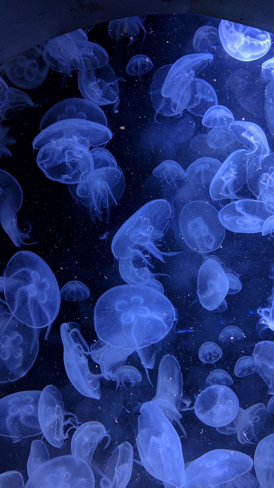 blue wallpaper aesthetic 0031