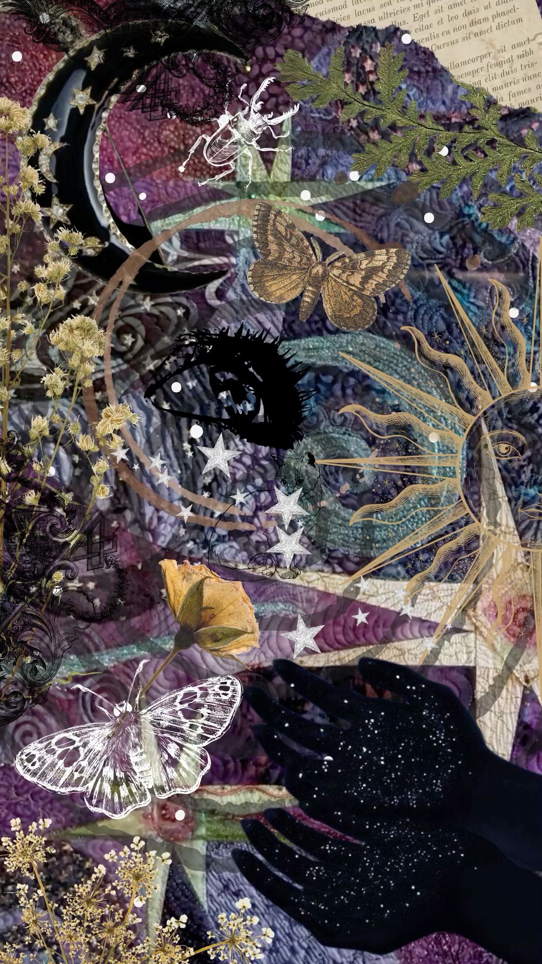 butterfly wallpaper aesthetic 0077