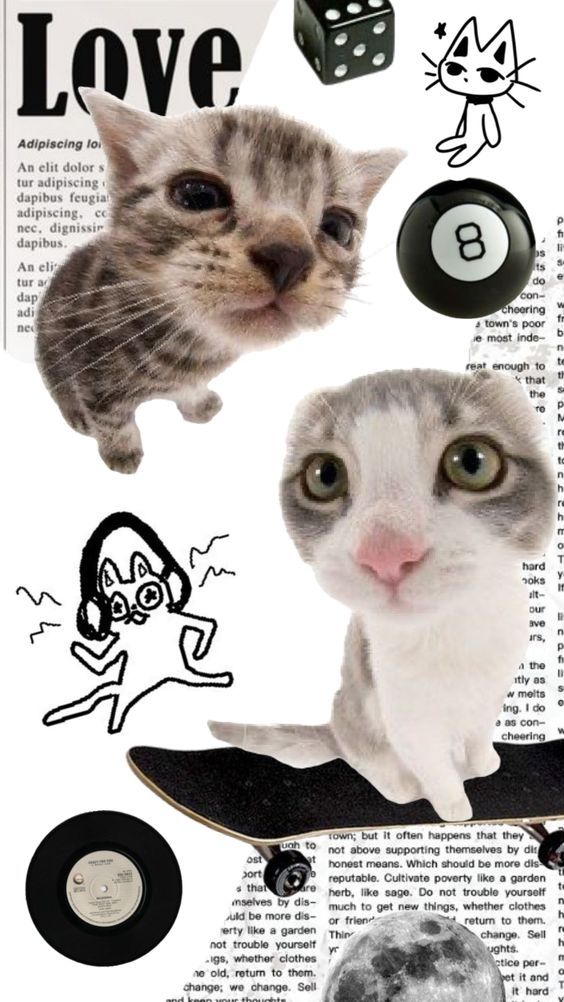 cat wallpaper aesthetic 0023