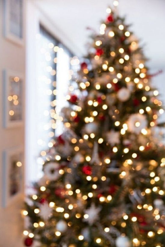 charming cute christmas pictures
