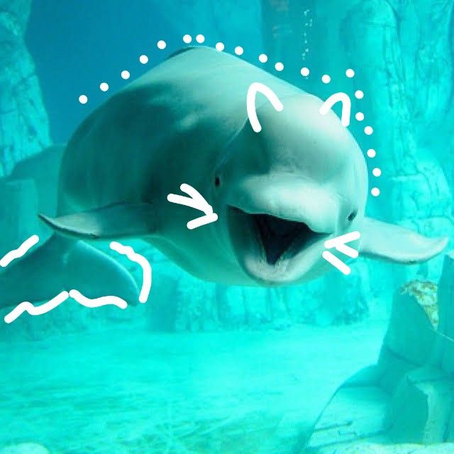 charming cute ocean landscapes