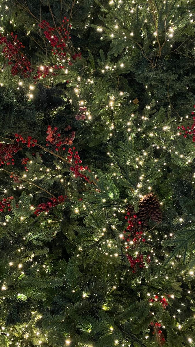 christmas background aesthetic 0053