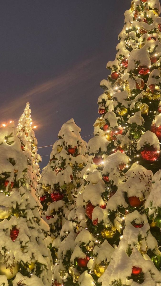 christmas tree wallpaper aesthetic 0027