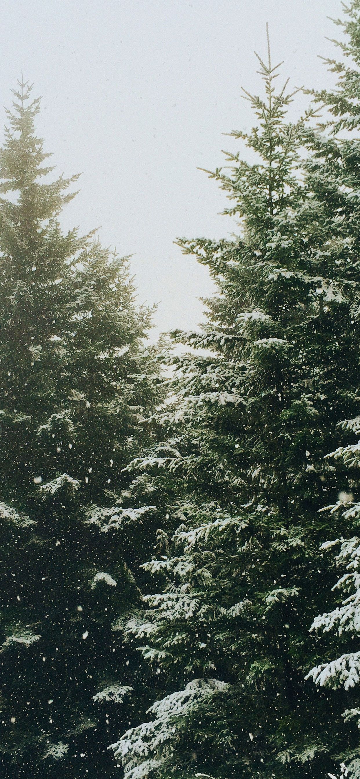 christmas wallpaper 4k aesthetic 0056