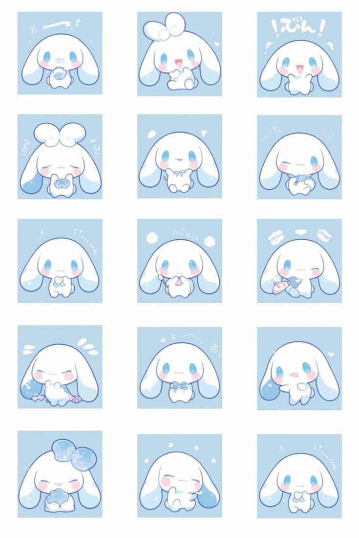 cinnamoroll cute collections