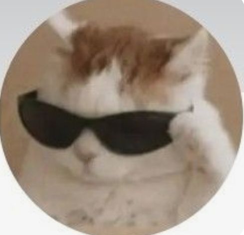 cool profile pictures aesthetic 0035