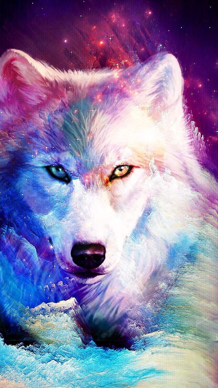 cool wolf 0041