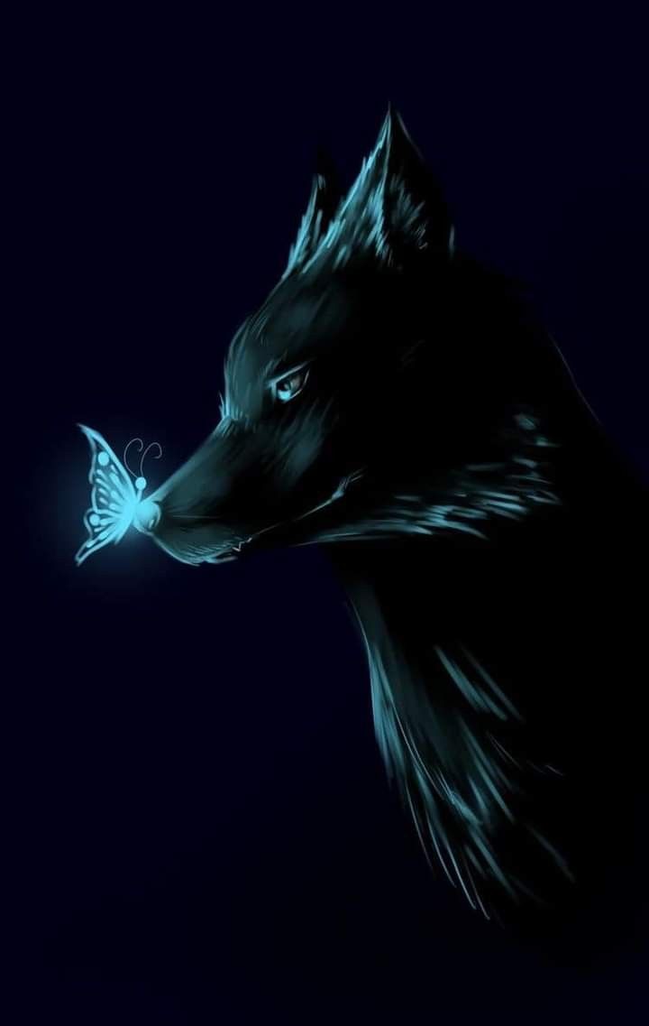 cool wolf 0068