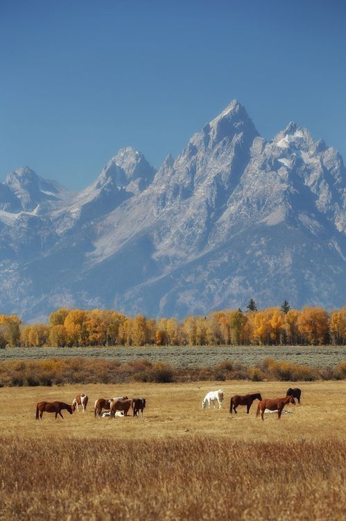 country aesthetic wallpaper 0028